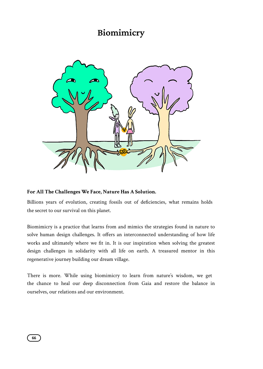 How To Build A Regenerative Village - Standard Edition (Paperback)